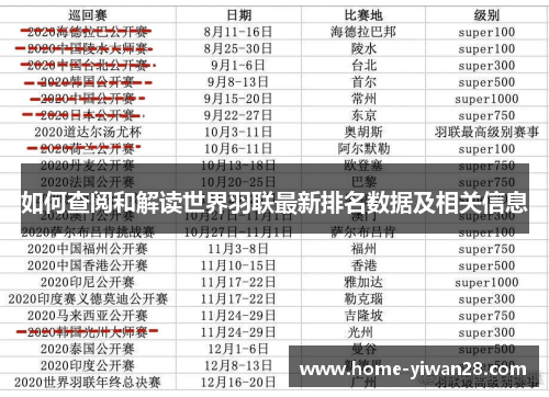 如何查阅和解读世界羽联最新排名数据及相关信息